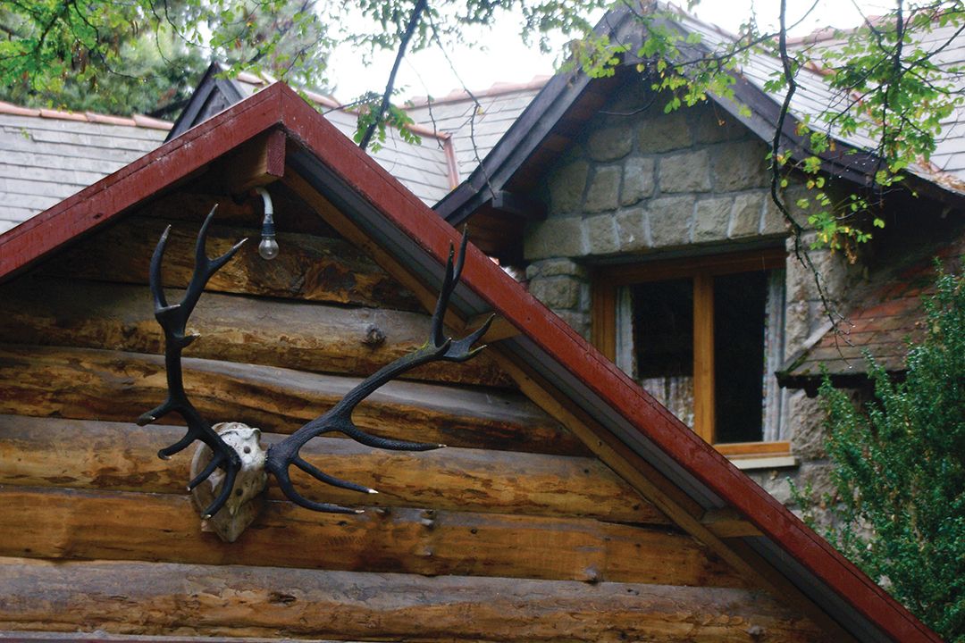 This skull, mounted in the peak of this roof many years ago, happens to be in Argentina, but it could just as easily be in Austria, Montana, Romania or New Zealand. The practice of mounting antlers for posterity is universal.